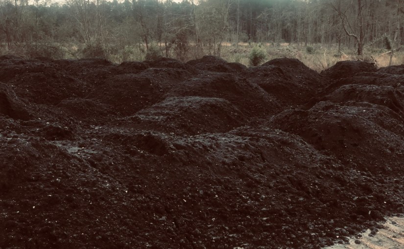 GoggleMaps Flyover of GP Brunswick Cellulose Ash Distribution Staging&nbsp;Area