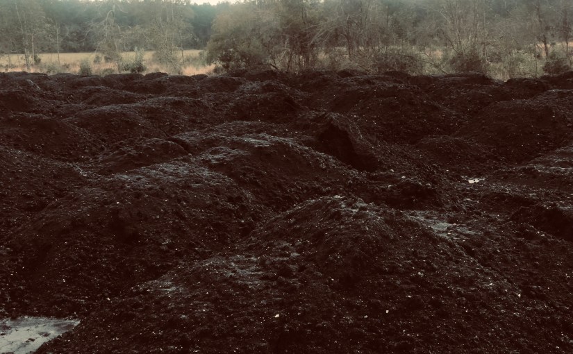 PACE ANALYTICAL LABS