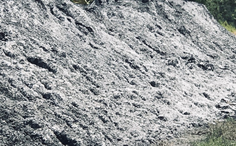 Boron, mercury, zinc, cadmium, chromium, lead….. a teaspoon a day will keep the doctor&nbsp;away…..